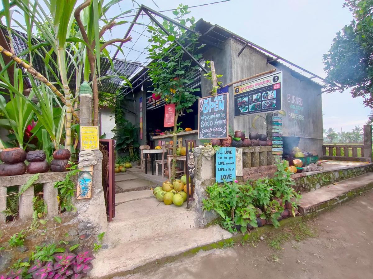 D'Nanda Villa Ubud  Luaran gambar