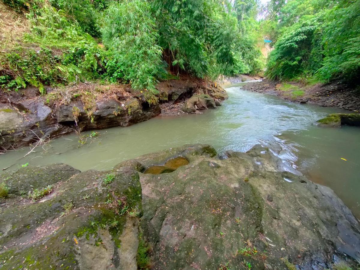 D'Nanda Villa Ubud  Luaran gambar