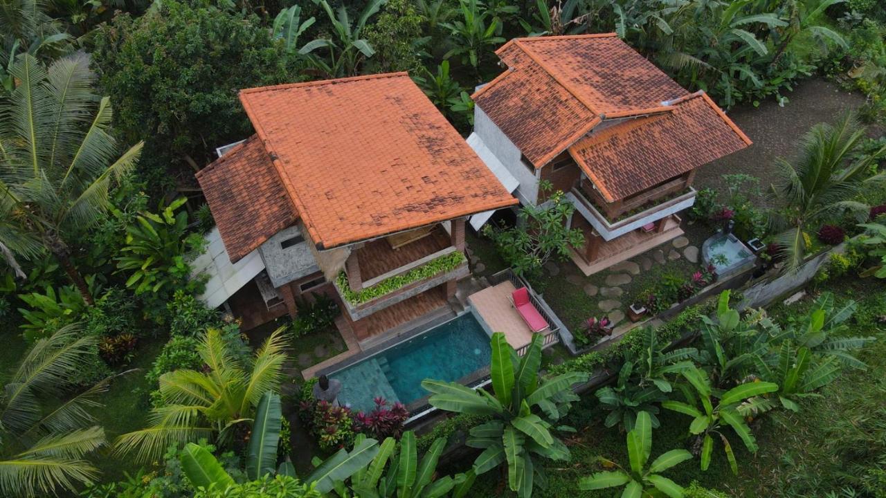 D'Nanda Villa Ubud  Luaran gambar