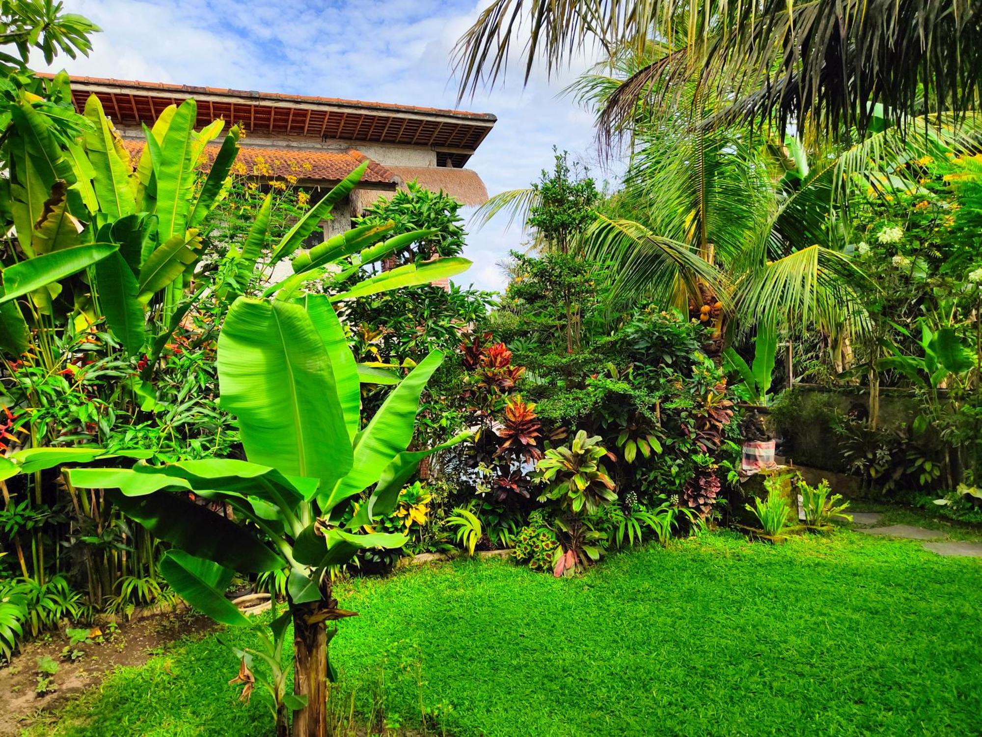D'Nanda Villa Ubud  Luaran gambar