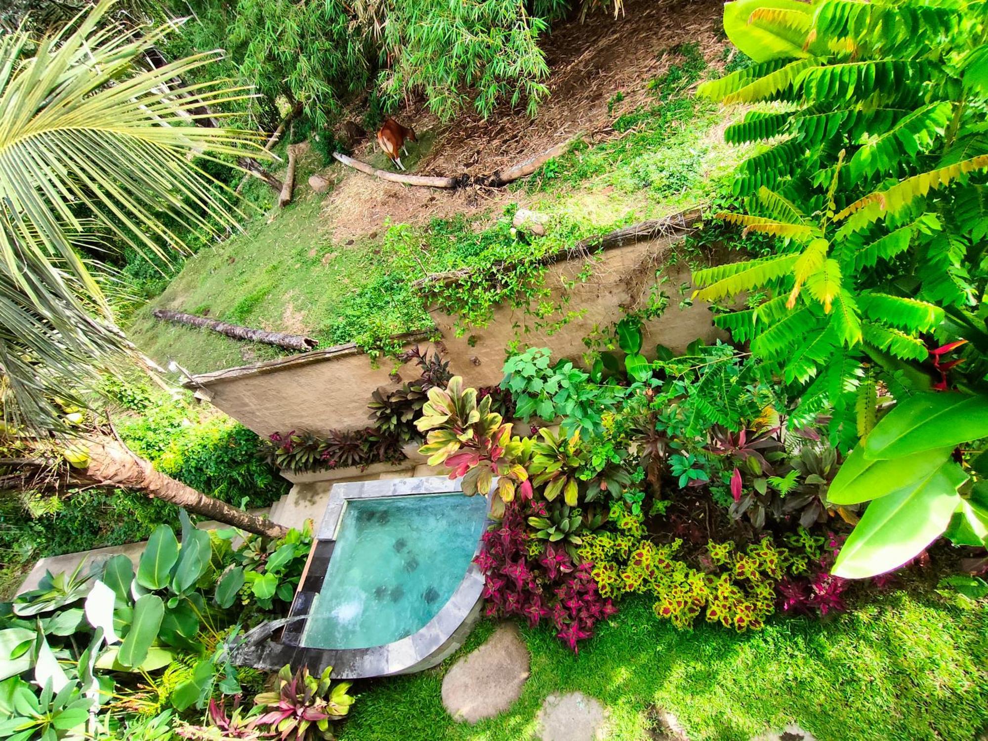 D'Nanda Villa Ubud  Luaran gambar
