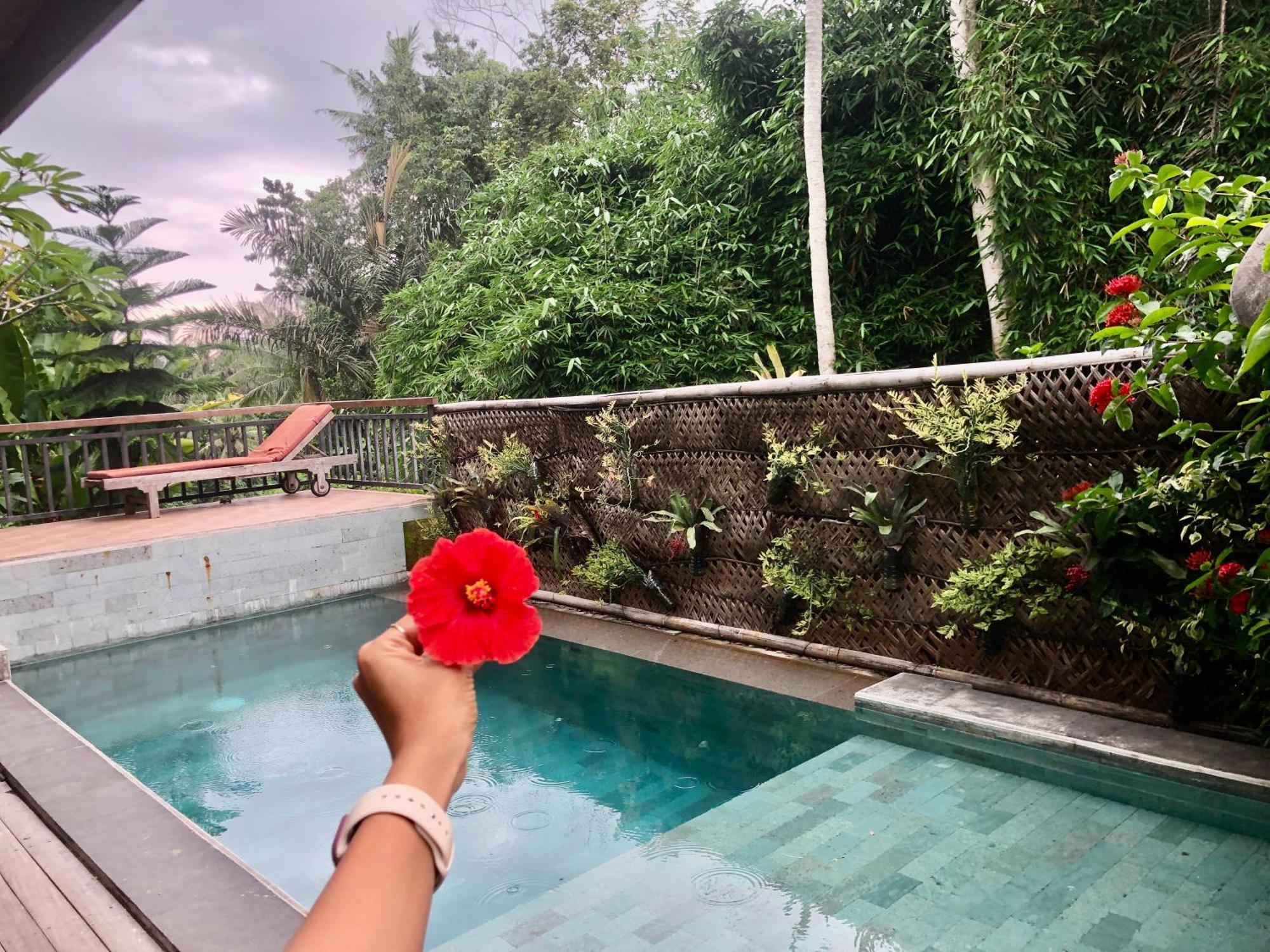 D'Nanda Villa Ubud  Luaran gambar