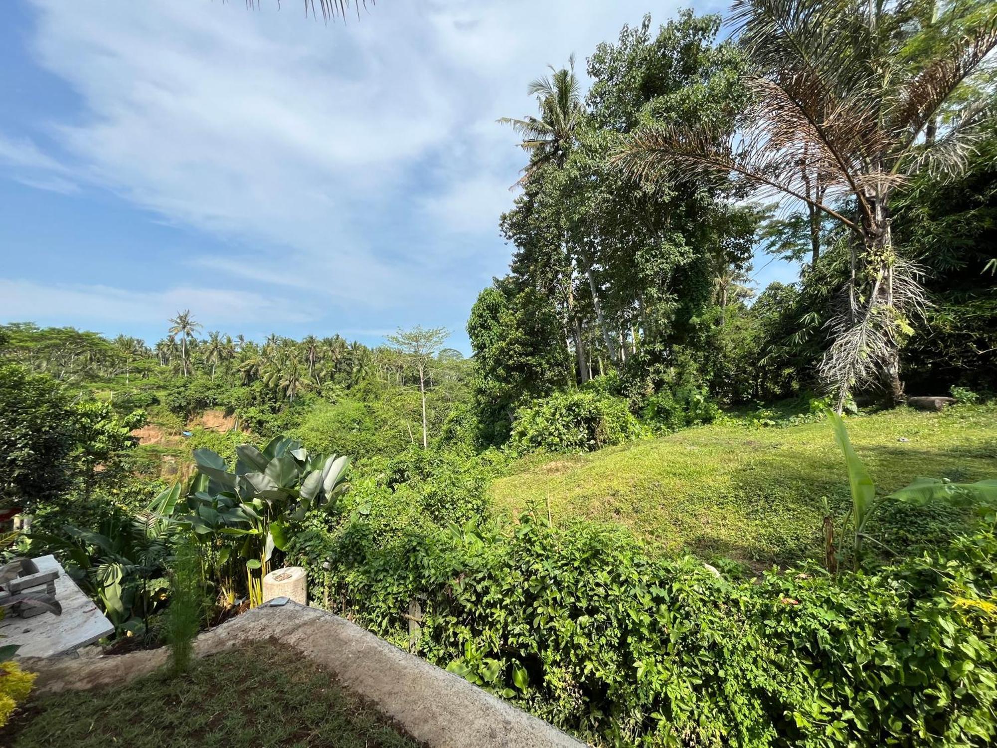 D'Nanda Villa Ubud  Luaran gambar
