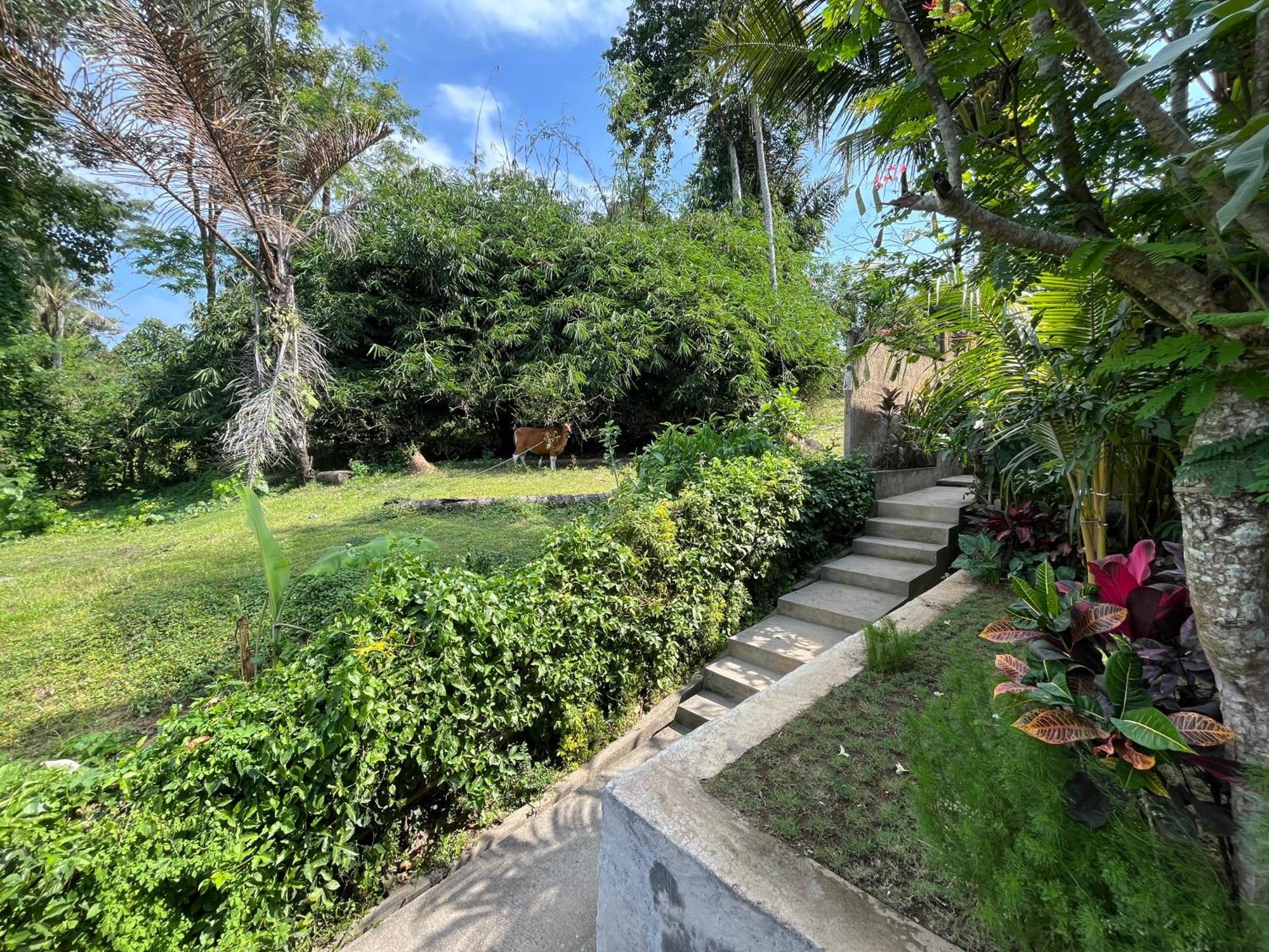 D'Nanda Villa Ubud  Luaran gambar